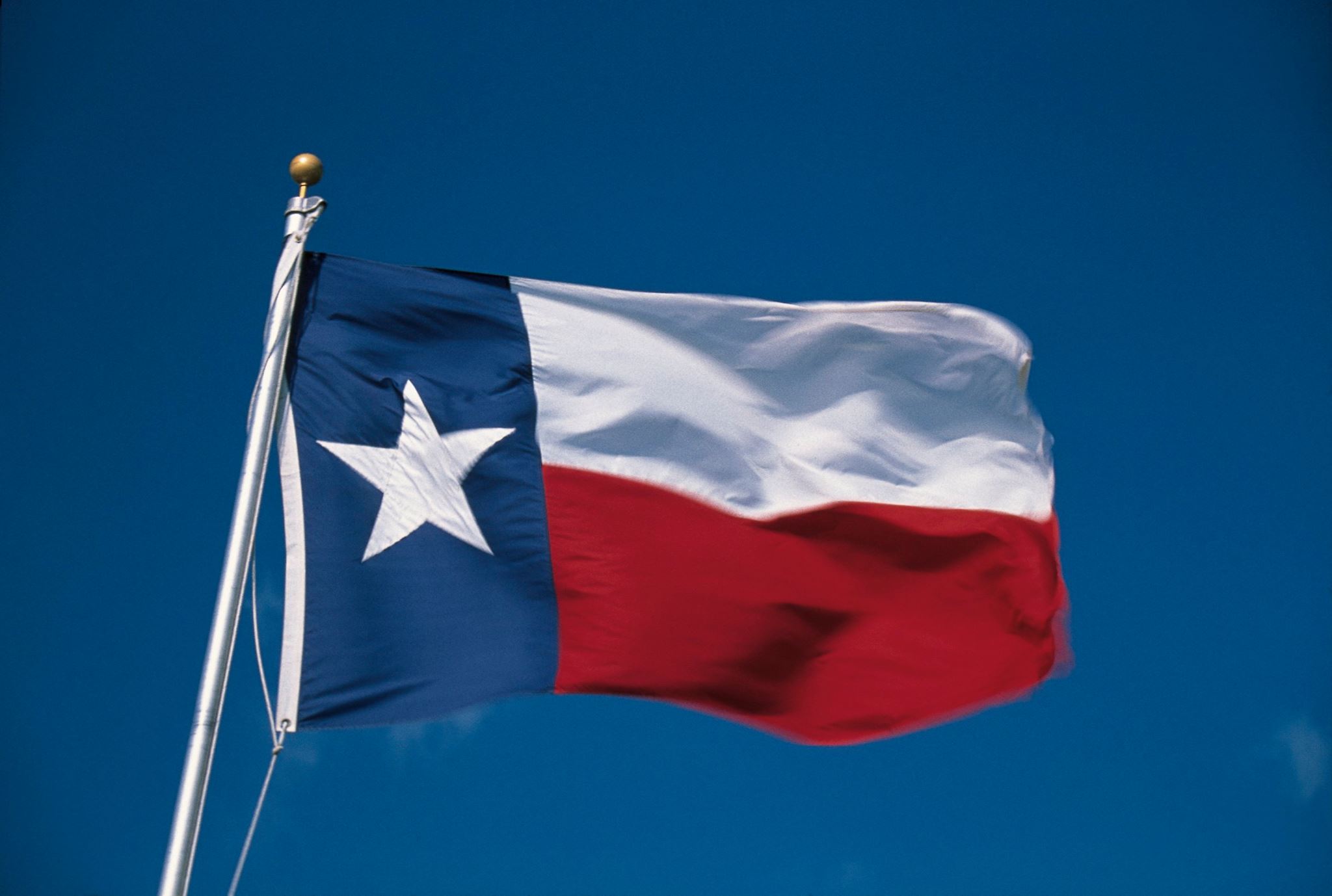 Texas Flag Texas Flag